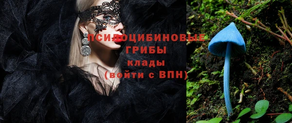 дурь Солнечногорск