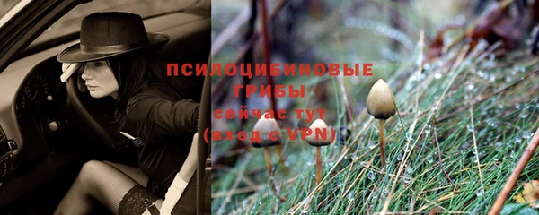 mdpv Нефтекумск